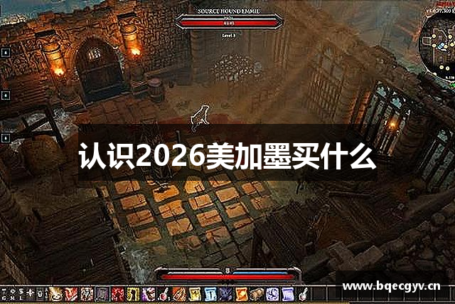 认识2026美加墨买什么
